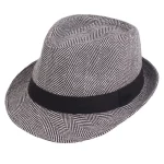 Men's Fedora Hat Panama Hat khaki Light Grey Cotton Streetwear Stylish 1920s Fashion Outdoor Daily Going out Graphic Prints Sunscreen 2025