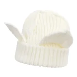 Wholesale Women Fashion Creativity Devil Ear Thickened Acrylic Knitted Hat - Image 6